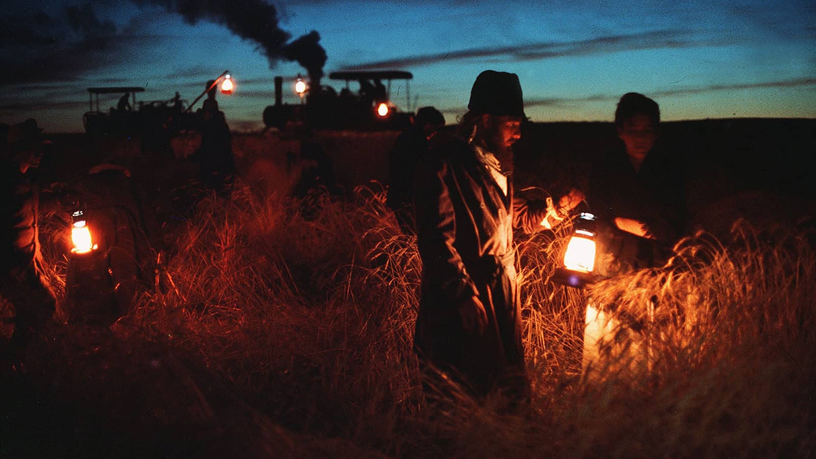 Los jornaleros trabajan por la noche para espantar la plaga de langostas
