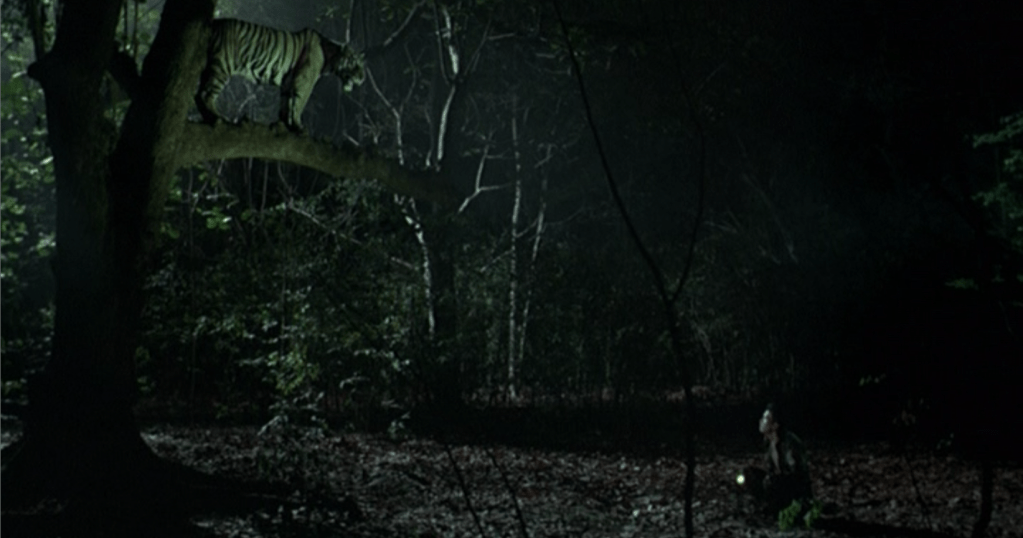 El soldado contempla el tigre subido al árbol en medio de la jungla por la noche