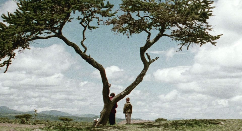El protagonista y el niño, bajo un árbol