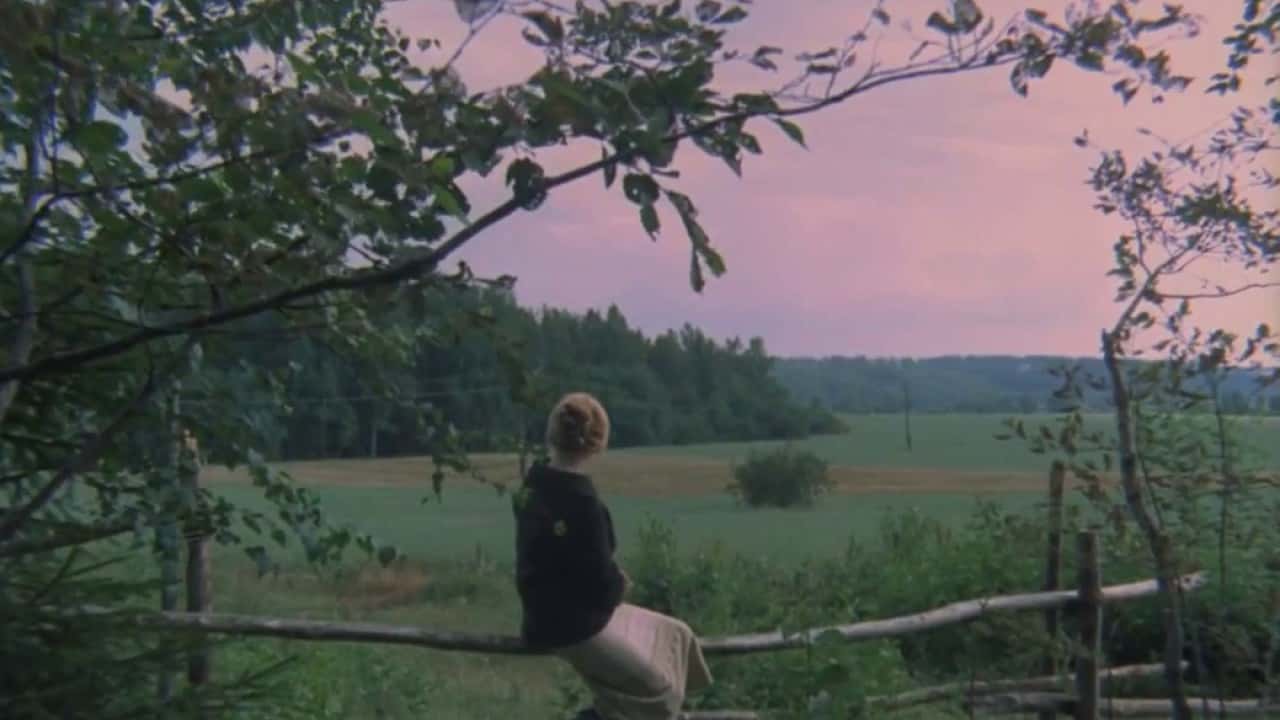 Ella está sentada sobre una valla de madera contemplando los prados y el bosque