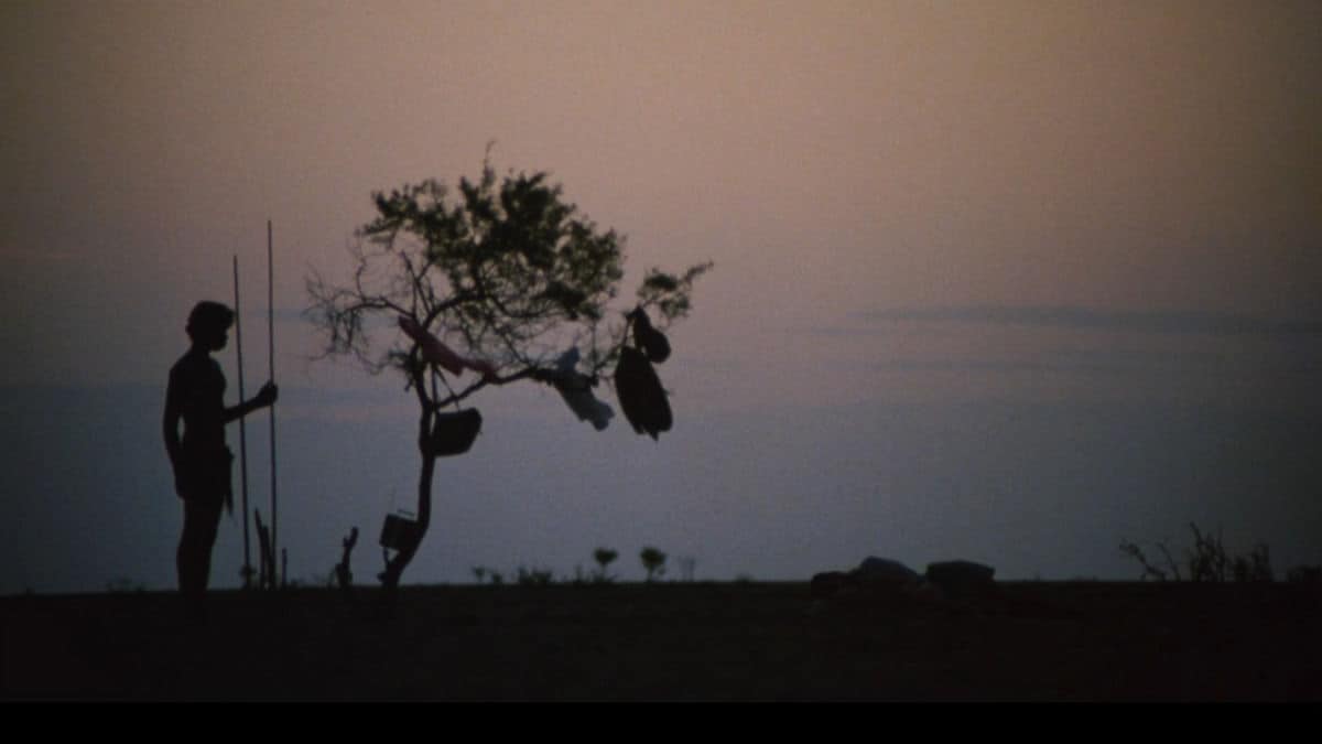 La figura del joven guía y un árbol, recortados en el horizonte al atardecer