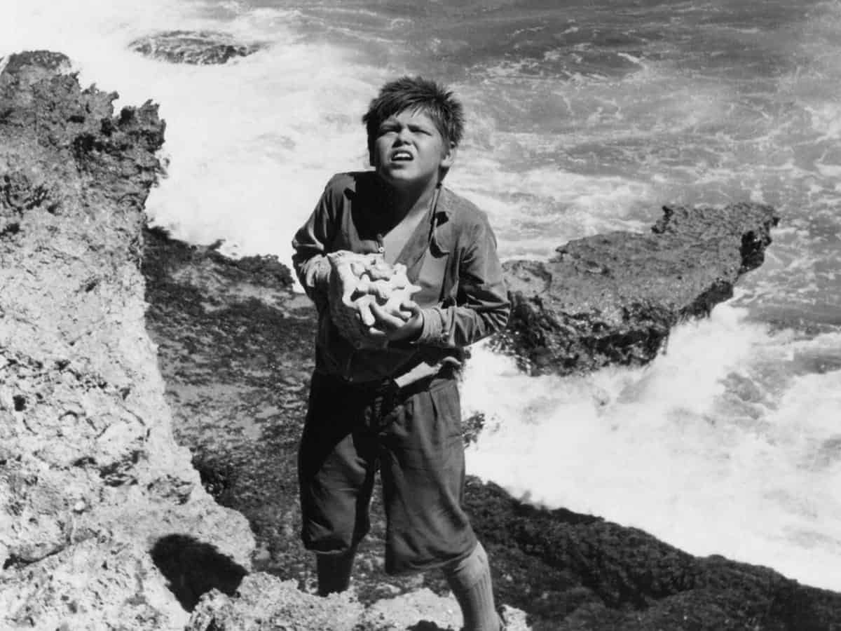 Piggy is about to die after his glasses are been crushed