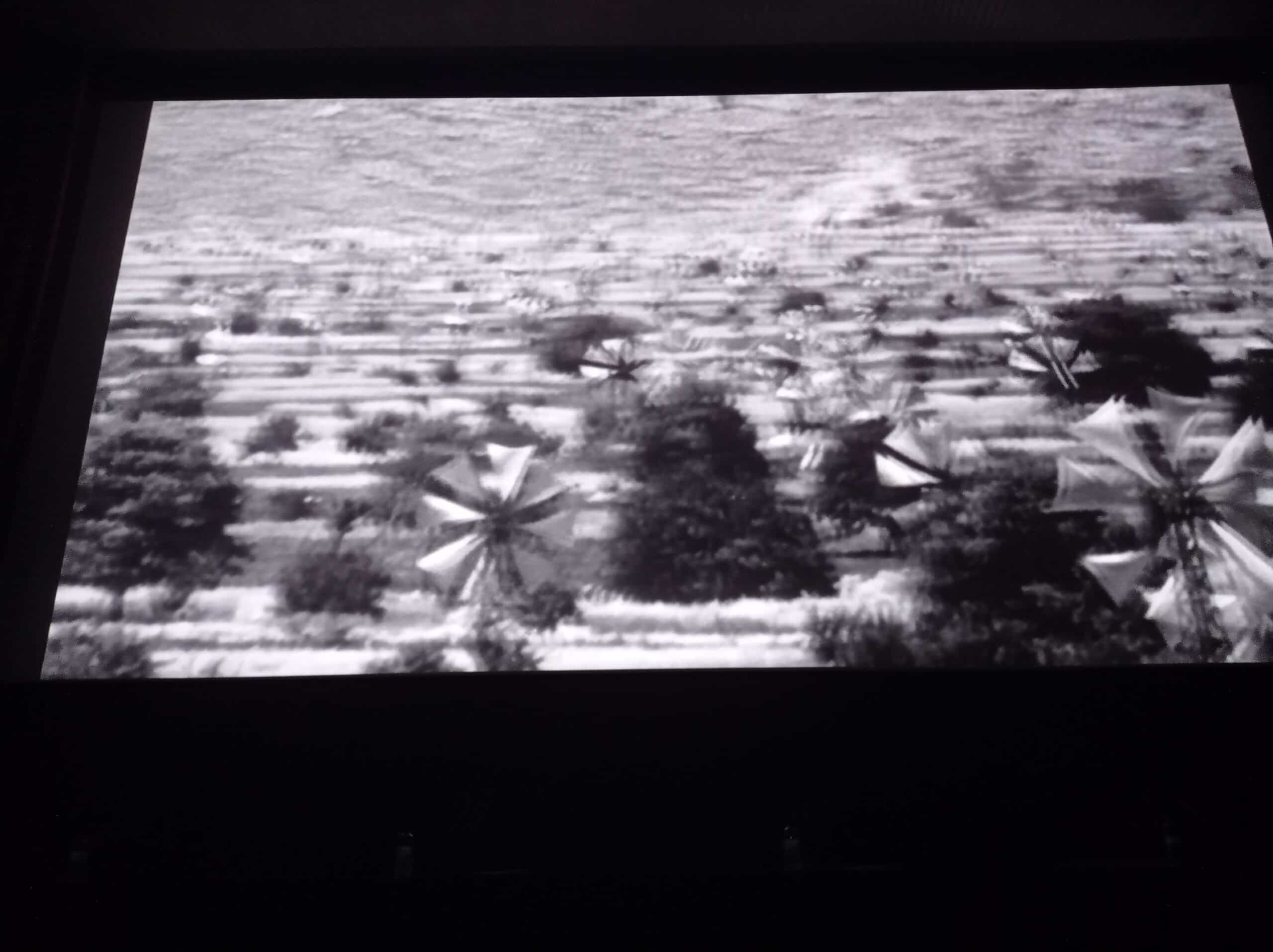 En la pantalla de la Filmoteca se ve un extracto de la película Signos de Vida en el documental de Nomad