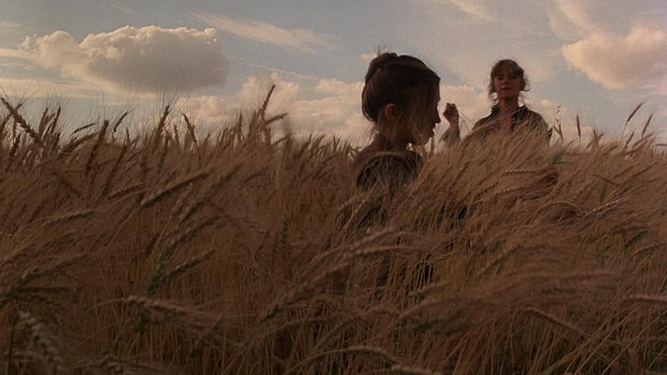 Las dos protagonistas femeninas se entretienen entre trigales al crepúsculo