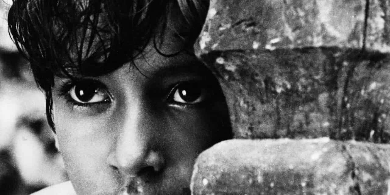 El niño mira asombrado el mundo refugiado tras el muro de piedra derribado de su casa
