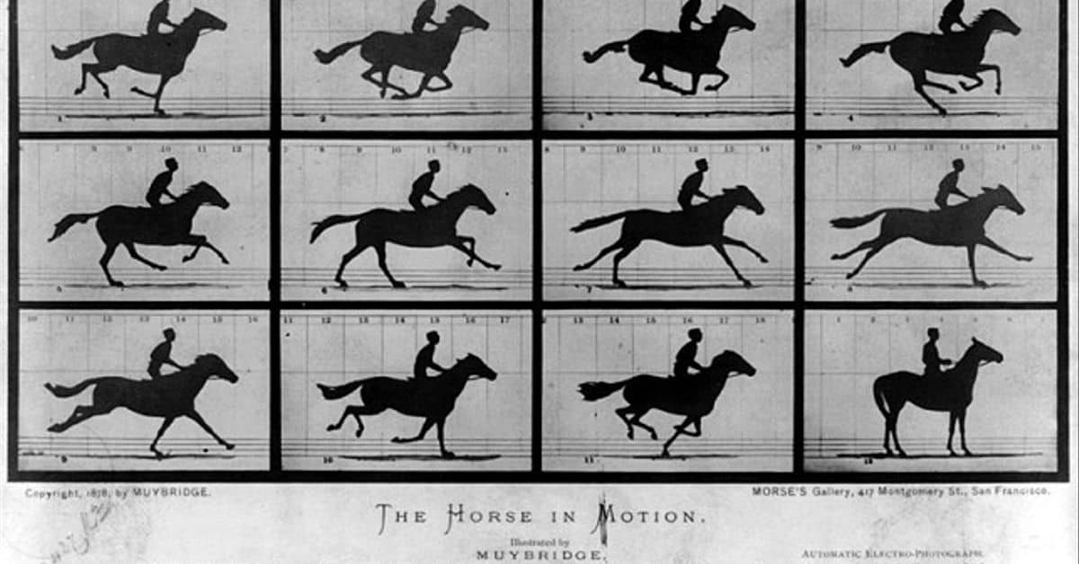 Serie de imágenes sobre el estudio del galope del caballo