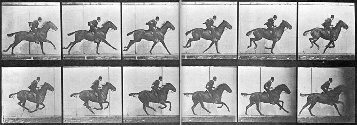 Las famosas imágenes que demostraron que los caballos a veces no tocbana el suelo