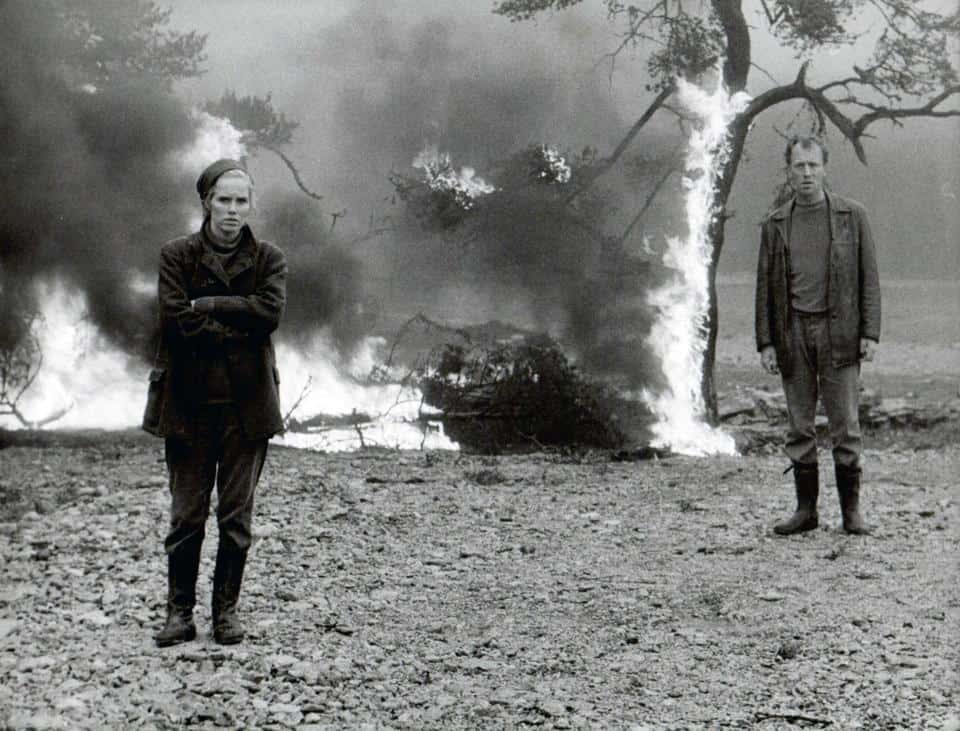 La pareja protagonista delante de un árbol ardiendo