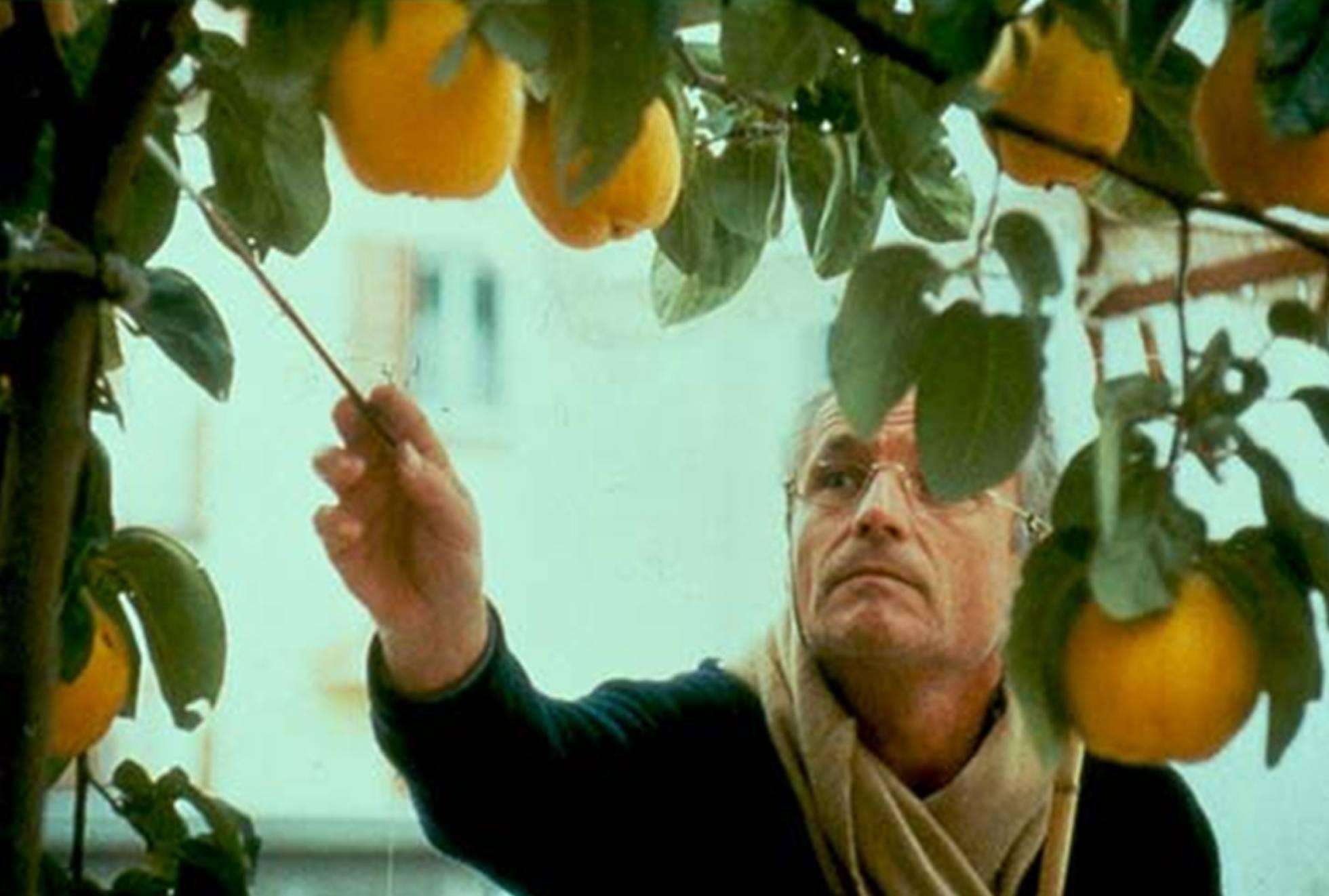 El pintor compara con el pincel el color de los frutos con el del lienzo