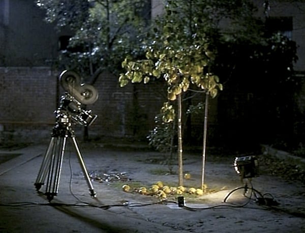La cámara solitaria frente al árbol de noche