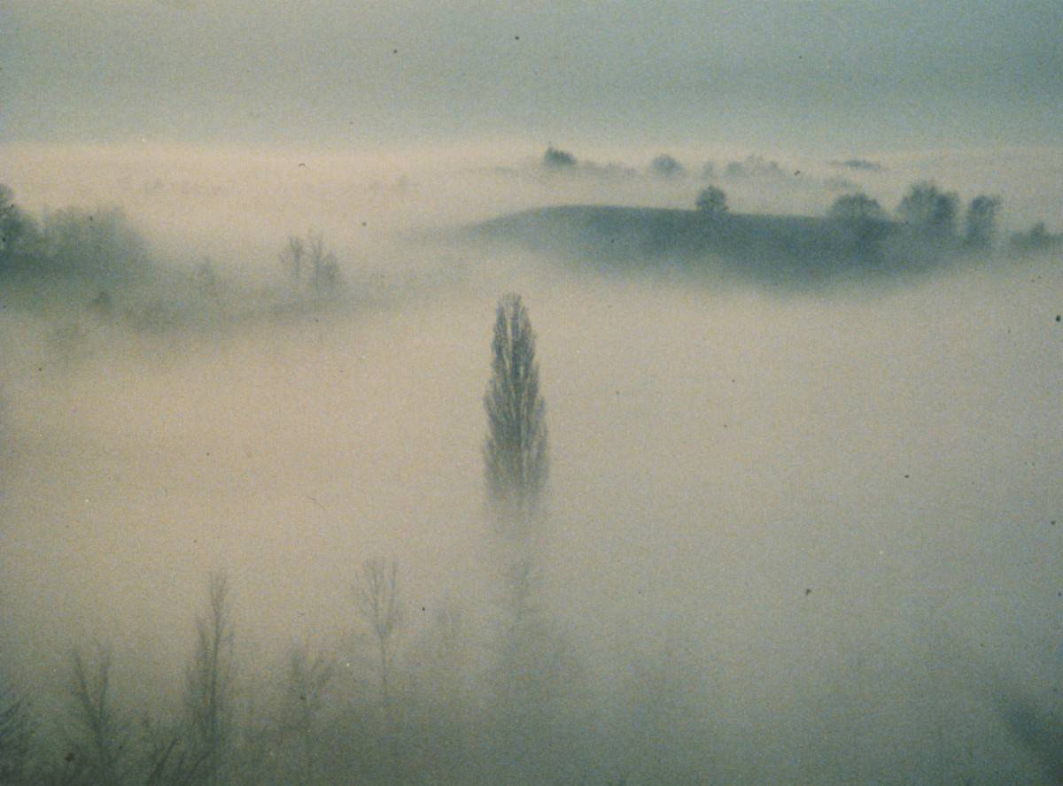 Un árbol sobresale sobre la niebla que invade las montañas